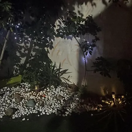 Casa Rey